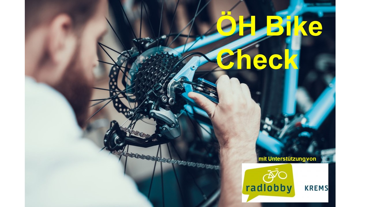 httpswww.ananiasfoundation.orgcompromise_in_relationshipsbike-mechanic-repairs-bicycle-in-workshop